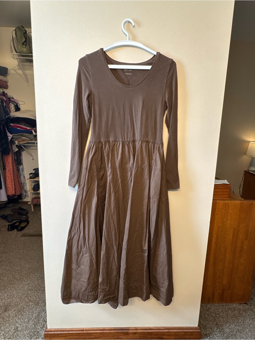 Everlane Brown Long-Sleeve Midi Dress